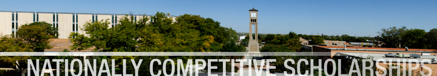 Nationally Competitive Scholarships Alumni Interviews